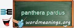 WordMeaning blackboard for panthera pardus